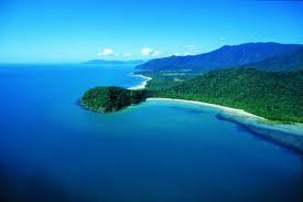 Tour of the Week – 2 Day Daintree Rainforest Tour
