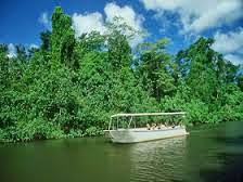 Daintree River Cruise Review