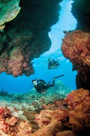 Discover the Great Barrier Reef with an Introductory Dive