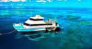 Tour of the Week; Great Barrier Reef Cruise Deluxe