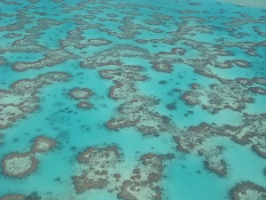 Tour of the Week: Great Barrier Reef Cruise Deluxe $205