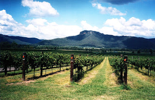 Hunter Valley and The Yarra Valley Wine Regions