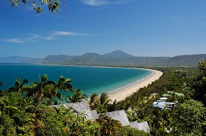 Tour of the Week: 1 Day Cape Tribulation and Daintree Rainforest Tour