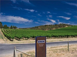 Tour of the Week: Food and Wine Delights McLaren Vale Tour $109