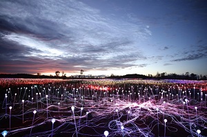 Field of Light Installation at Uluru