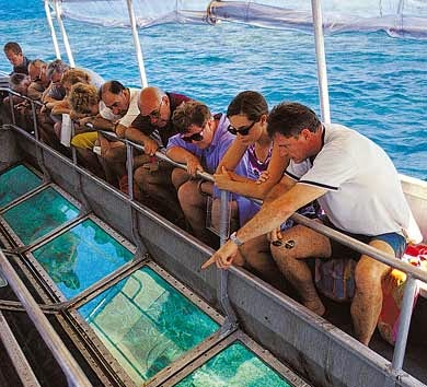Glass Bottom Boat Tours of the Great Barrier Reef