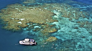 Why You Should Go to the Great Barrier Reef in Winter